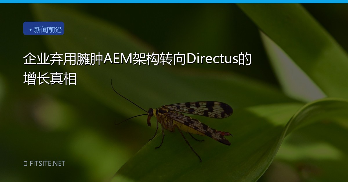 企业弃用臃肿AEM架构转向Directus的增长真相