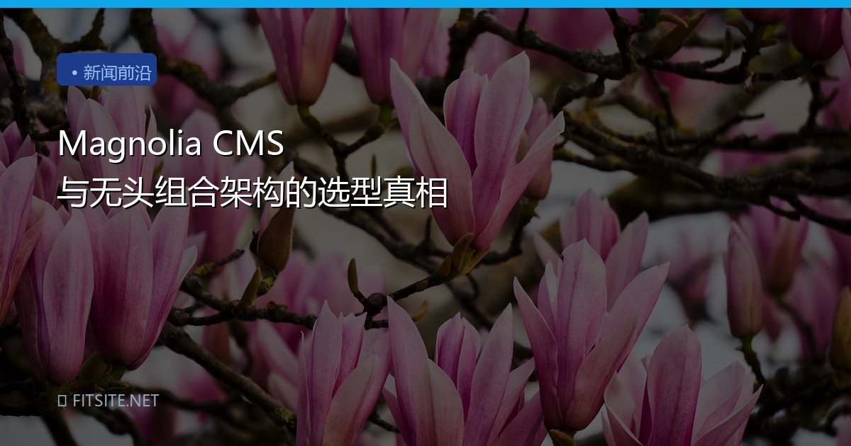 Magnolia CMS 与无头组合架构的选型真相