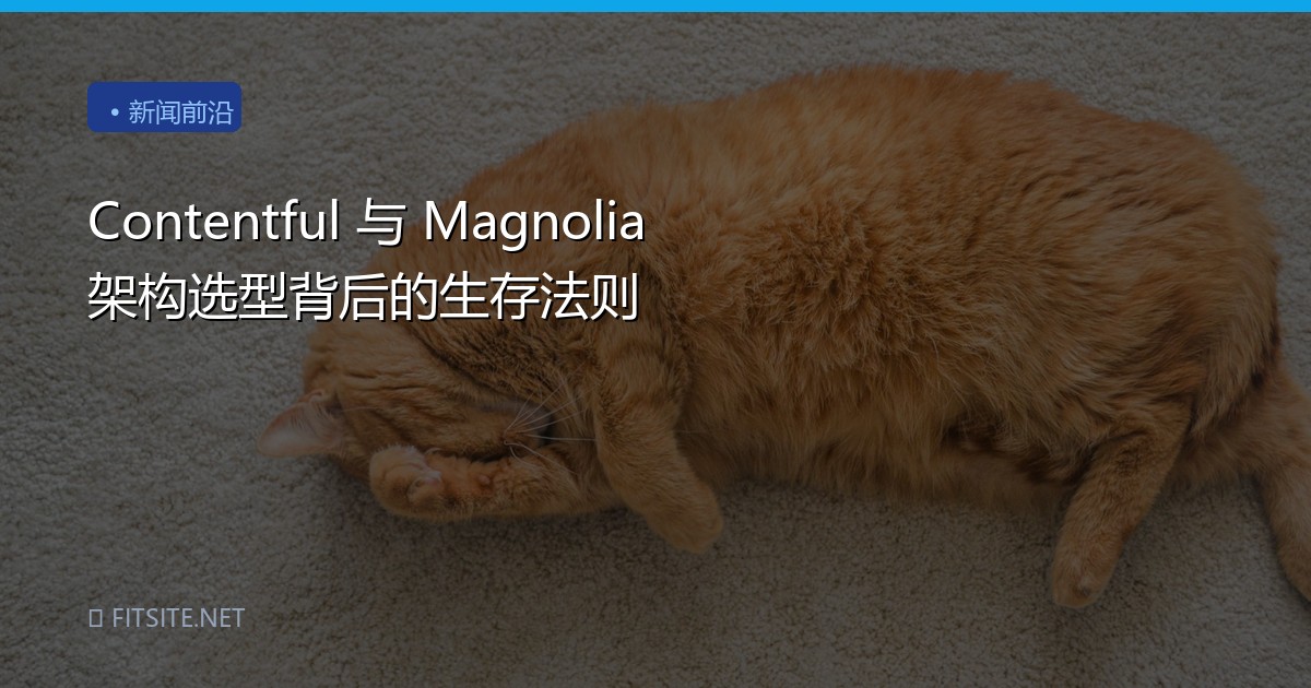 Contentful 与 Magnolia 架构选型背后的生存法则